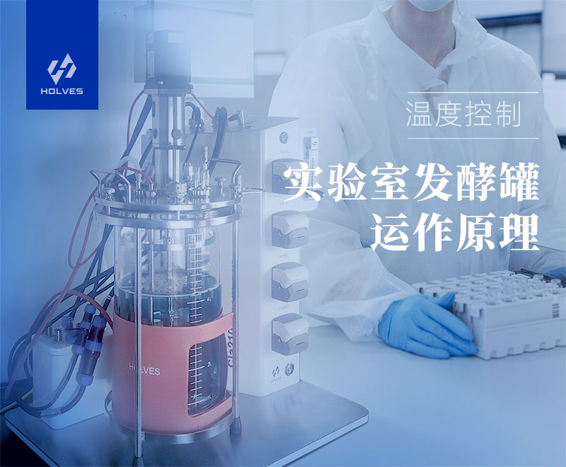 實驗室發酵罐 實驗室發酵罐運作原理之溫度控制
