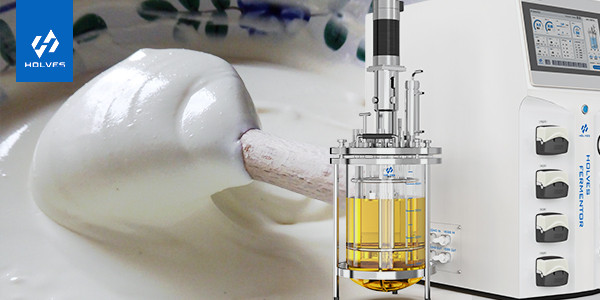 發(fā)酵罐在乳制品生產(chǎn)中的重要意義 發(fā)酵罐在乳制品生產(chǎn)中的重要意義