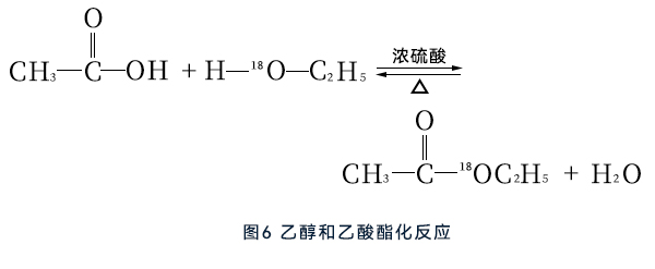 乙醇和乙酸酯化反應(yīng) 乙醇和乙酸酯化反應(yīng)