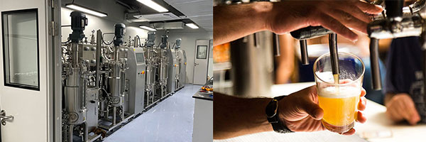 發酵罐的應用 發酵罐的應用