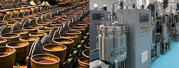 醬油&醋的發酵 醬油&醋的發酵