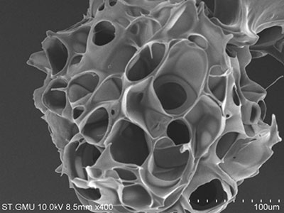 多孔微載體 多孔微載體